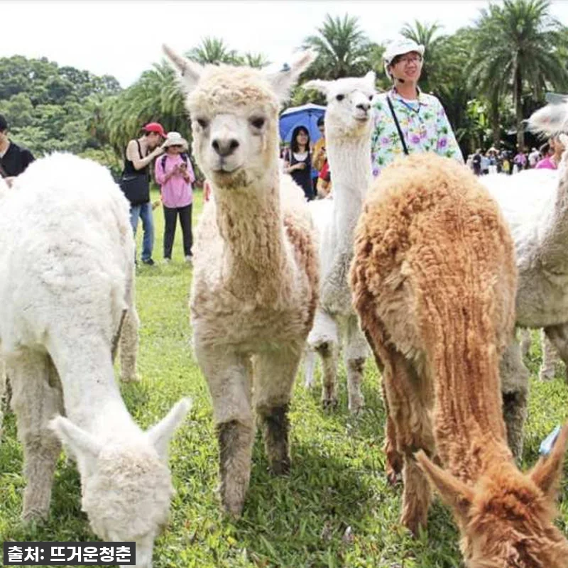 대만 신주 그린 월드 생태 농장 입장 관련 이미지 1