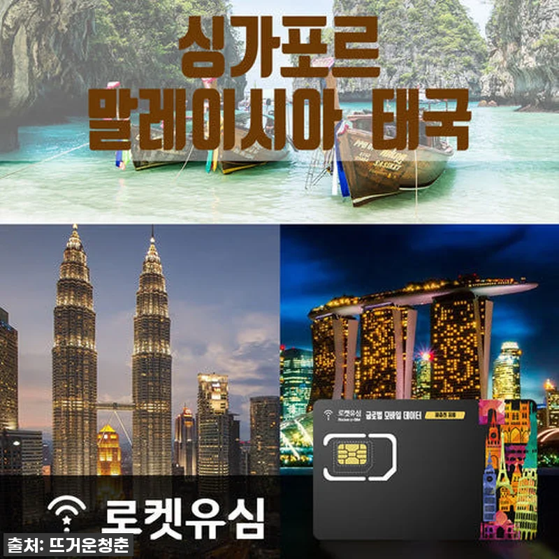인생템 등극! 싱가포르-말레이시아-태 관련 이미지 1