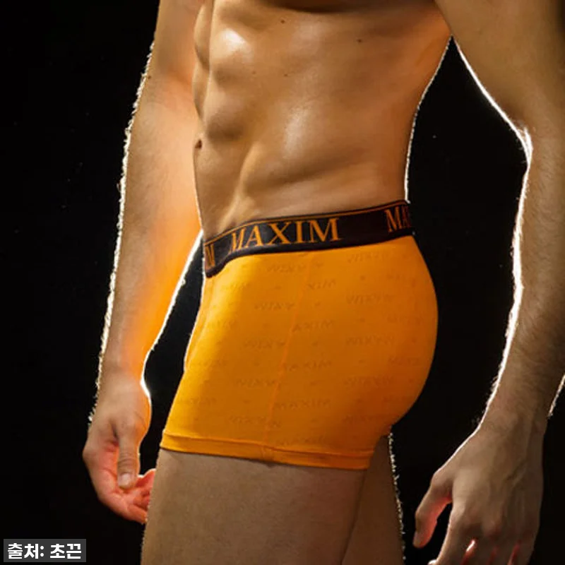 이 가격에 이 편안함 실화냐? 맥심 관련 이미지 1