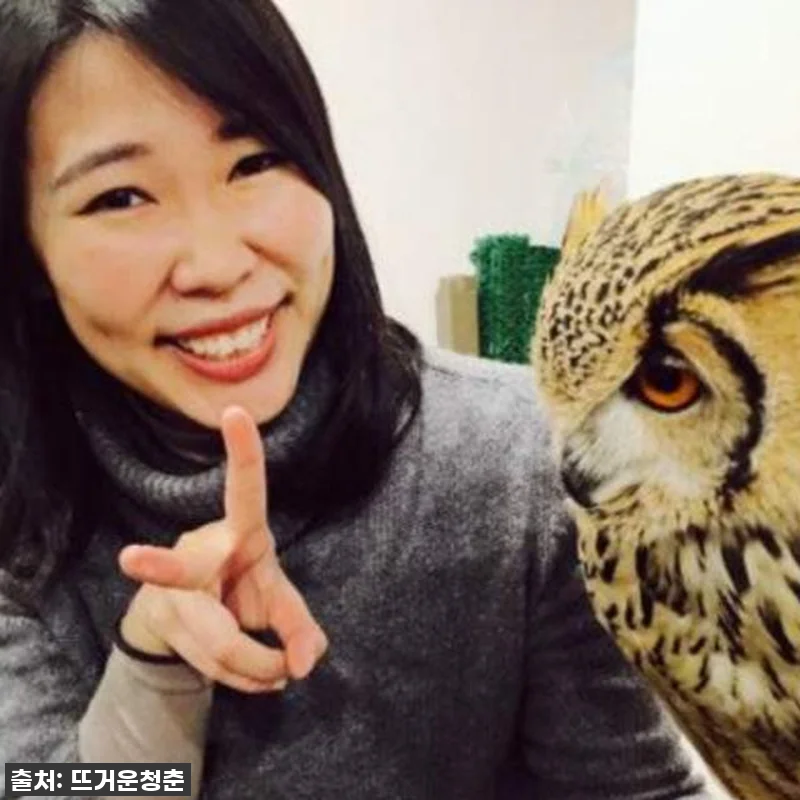 도쿄 여행 찐후기! 하라주쿠 부엉이 관련 이미지 2