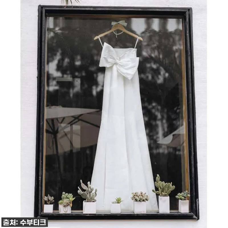 인생샷 건진 찐후기! A라인 오간자 관련 이미지 3