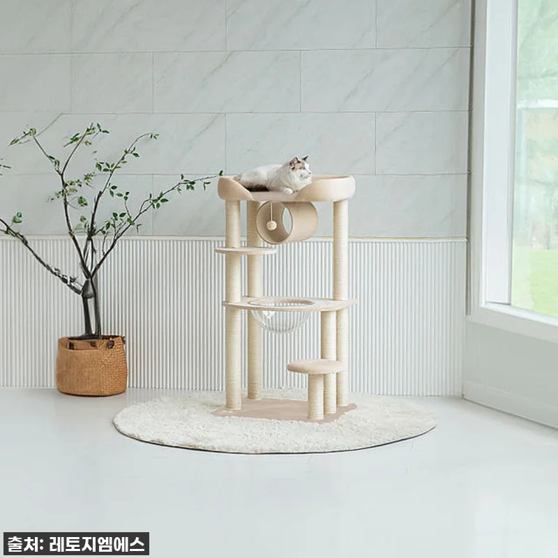 우리 집 개냥이들이 난리 났어요! 레 관련 이미지 2