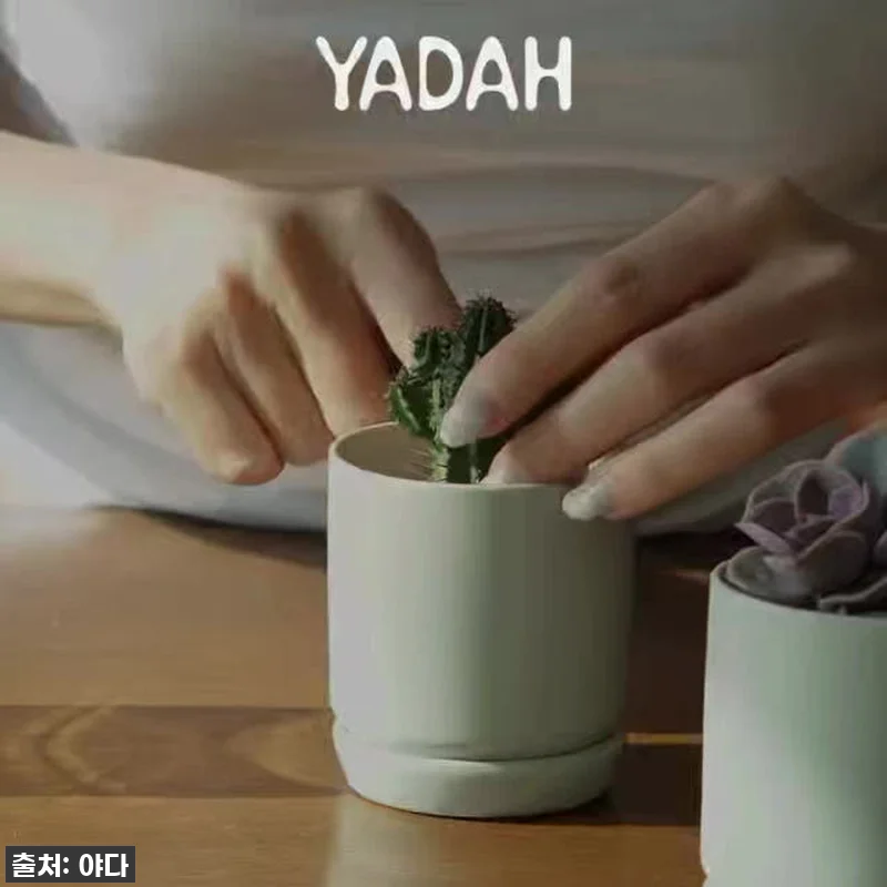 피부 속까지 꽉! ✨ 야다 안티티 보 관련 이미지 4