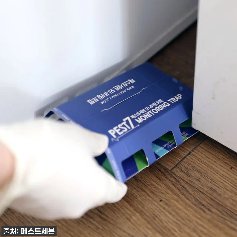 벌레와의 전쟁 끝! 페스트세븐모니터링 관련 이미지 3