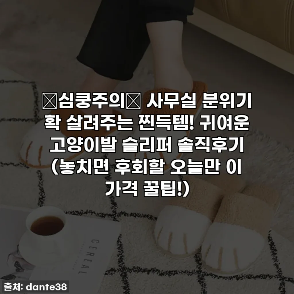✨심쿵주의✨ 사무실 분위기 확 살려주는 찐득템! 귀여운 고양이발 슬리퍼 솔직후기 (놓치면 후회할 오늘만 이 가격 꿀팁!)