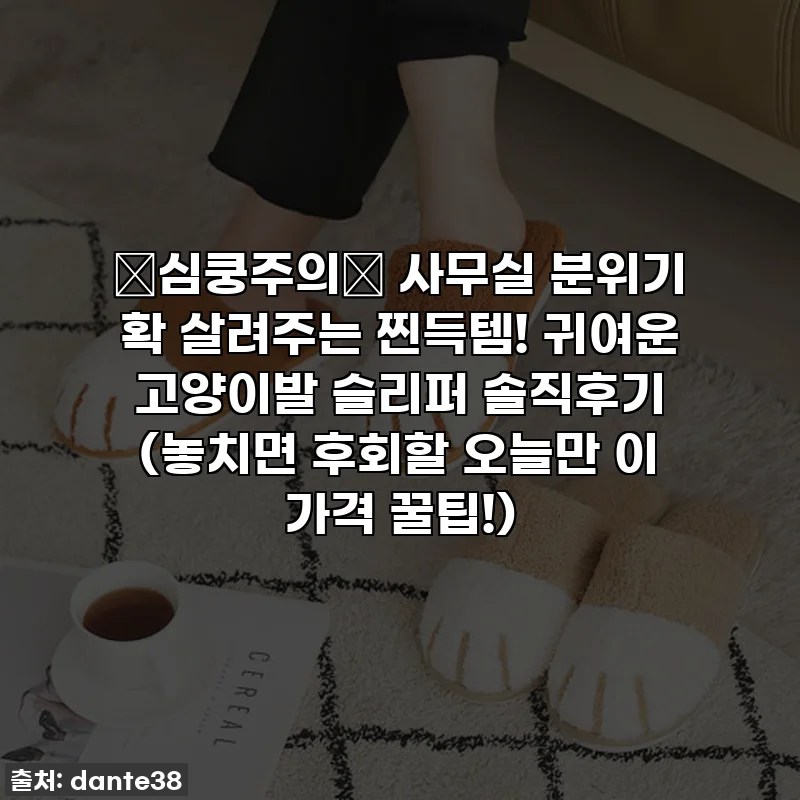 ✨심쿵주의✨ 사무실 분위기 확 살려주는 찐득템! 귀여운 고양이발 슬리퍼 솔직후기 (놓치면 후회할 오늘만 이 가격 꿀팁!)