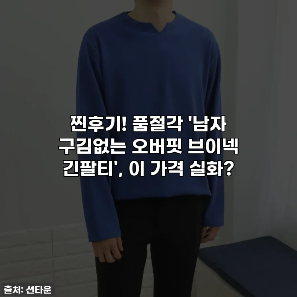 찐후기! 품절각 '남자 구김없는 오버핏 브이넥 긴팔티', 이 가격 실화?