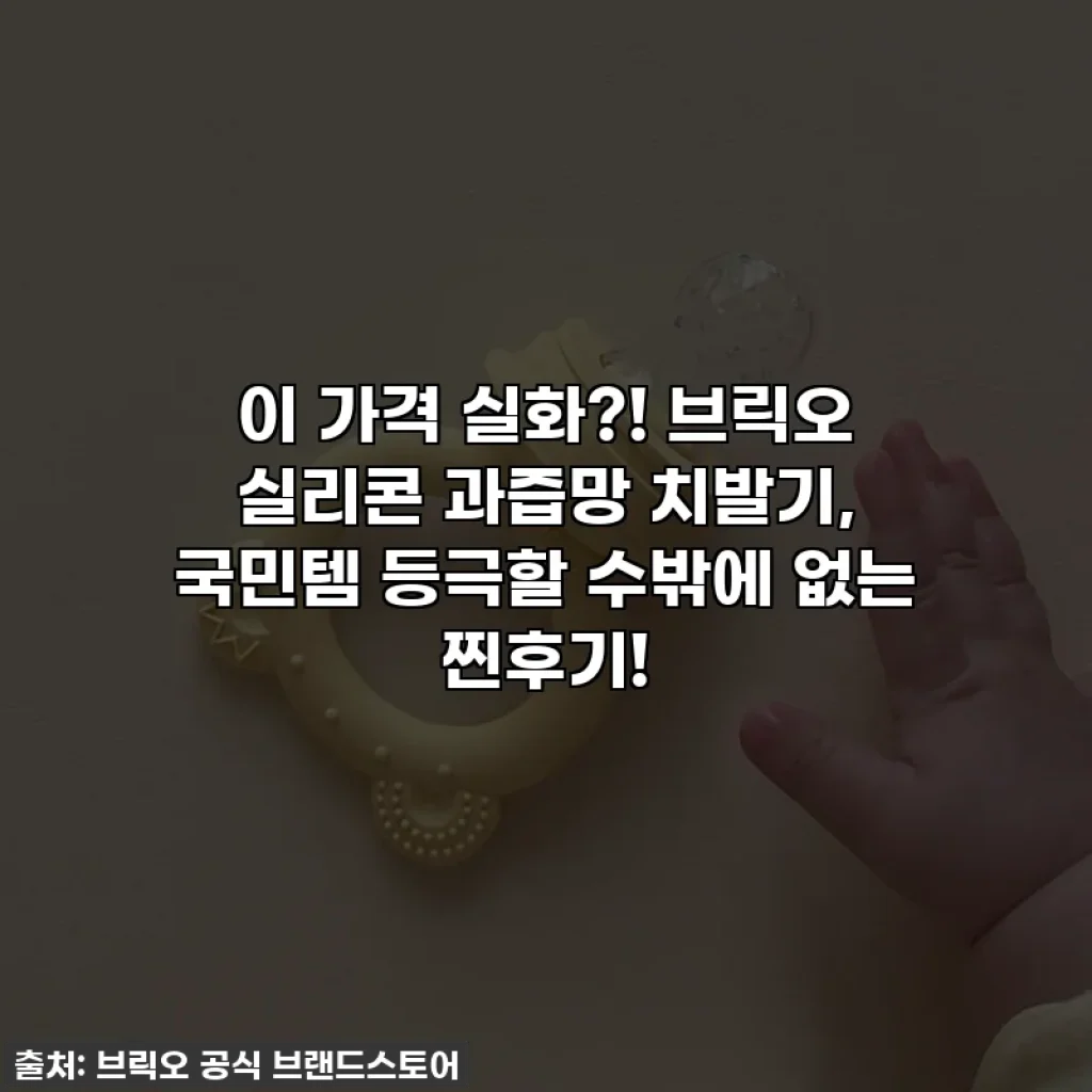이 가격 실화?! 브릭오 실리콘 과즙망 치발기, 국민템 등극할 수밖에 없는 찐후기!