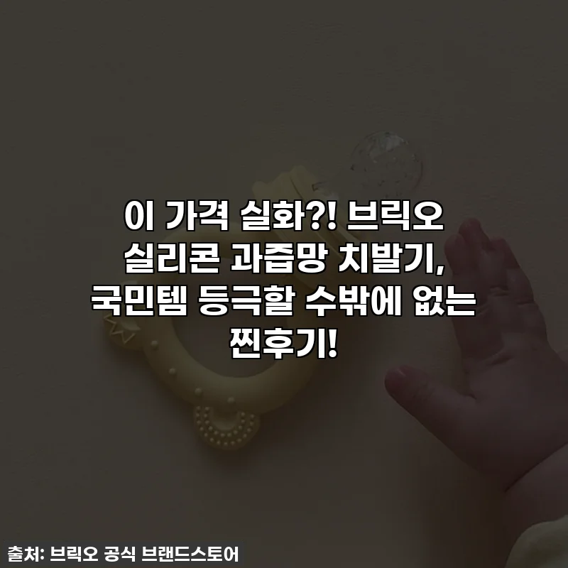 이 가격 실화?! 브릭오 실리콘 과즙망 치발기, 국민템 등극할 수밖에 없는 찐후기!