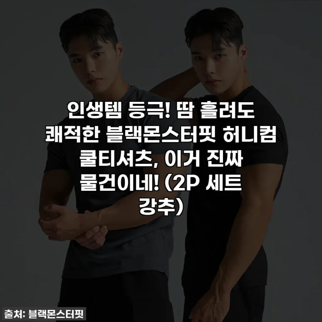 인생템 등극! 땀 흘려도 쾌적한 블랙몬스터핏 허니컴 쿨티셔츠, 이거 진짜 물건이네! (2P 세트 강추)