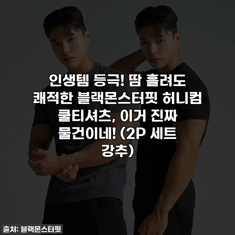 인생템 등극! 땀 흘려도 쾌적한 블랙몬스터핏 허니컴 쿨티셔츠, 이거 진짜 물건이네! (2P 세트 강추)
