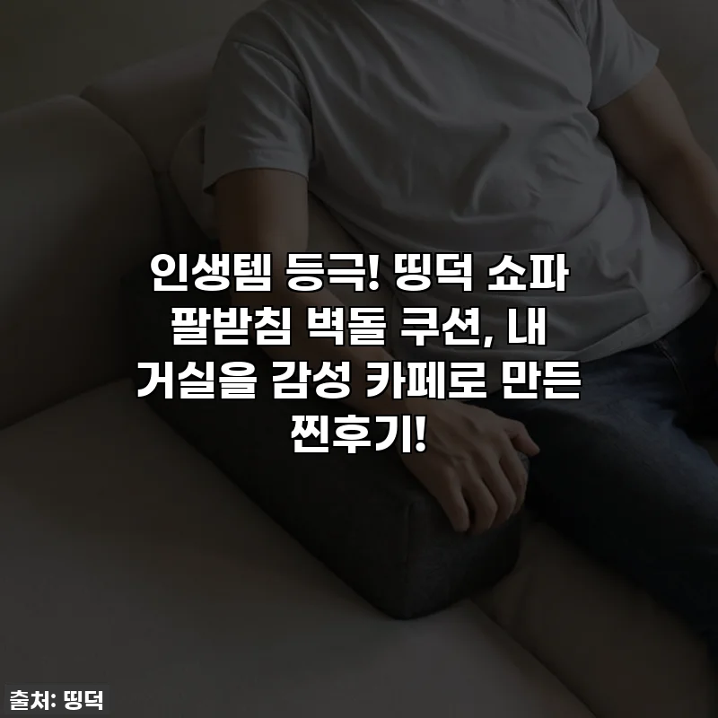 인생템 등극! 띵덕 쇼파 팔받침 벽돌 쿠션, 내 거실을 감성 카페로 만든 찐후기!