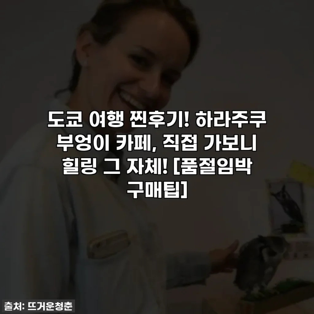 도쿄 여행 찐후기! 하라주쿠 부엉이 카페, 직접 가보니 힐링 그 자체! [품절임박 구매팁]
