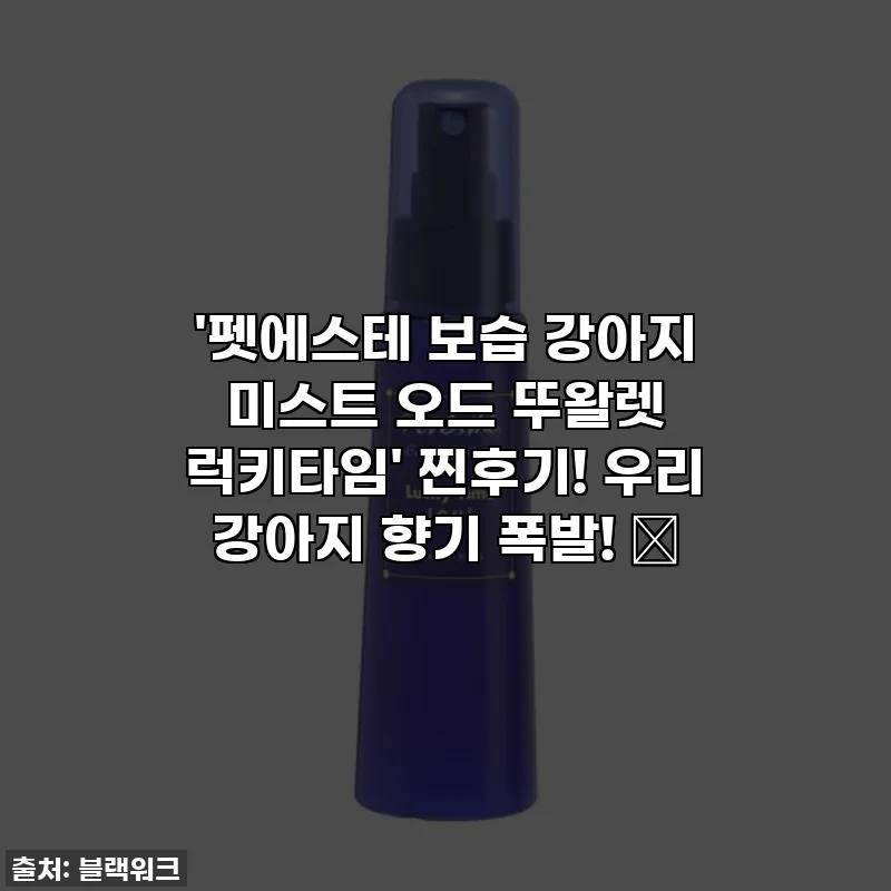 '펫에스테 보습 강아지 미스트 오드 뚜왈렛 럭키타임' 찐후기! 우리 강아지 향기 폭발! 💖