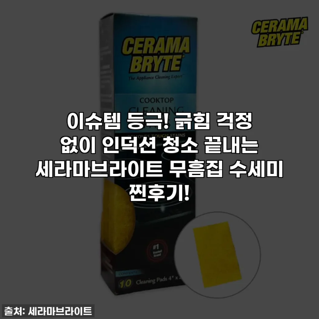 이슈템 등극! 긁힘 걱정 없이 인덕션 청소 끝내는 세라마브라이트 무흠집 수세미 찐후기!