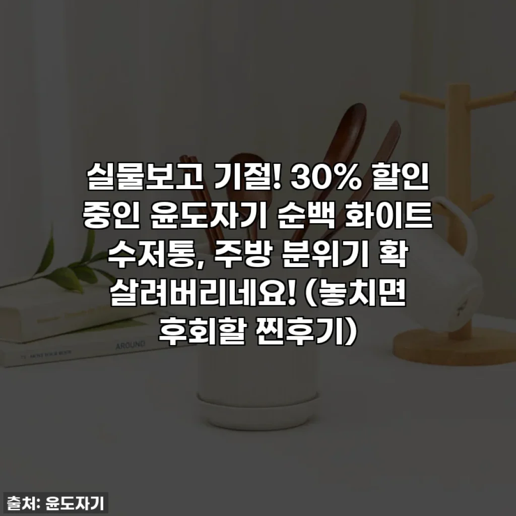 실물보고 기절! 30% 할인 중인 윤도자기 순백 화이트 수저통, 주방 분위기 확 살려버리네요! (놓치면 후회할 찐후기)