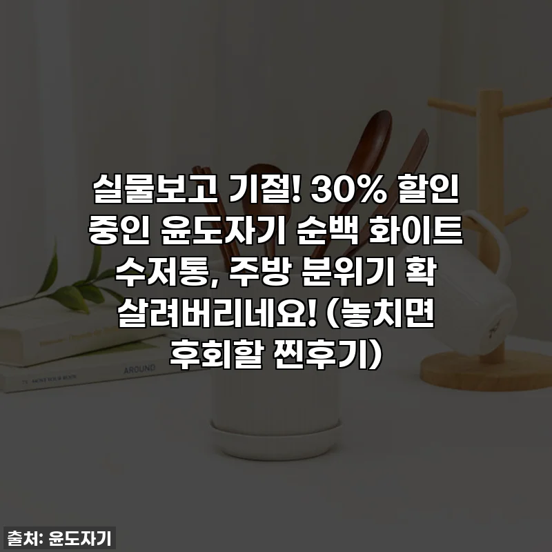 실물보고 기절! 30% 할인 중인 윤도자기 순백 화이트 수저통, 주방 분위기 확 살려버리네요! (놓치면 후회할 찐후기)