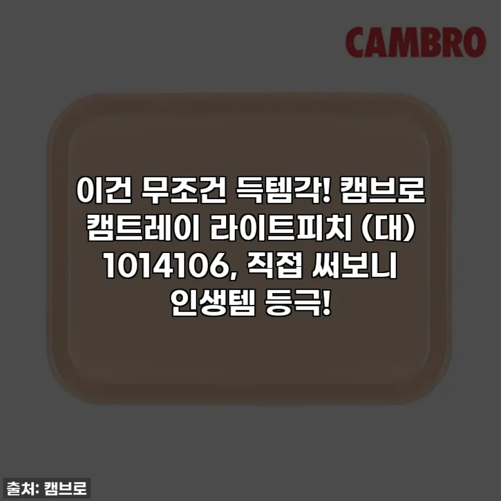 이건 무조건 득템각! 캠브로 캠트레이 라이트피치 (대) 1014106, 직접 써보니 인생템 등극!
