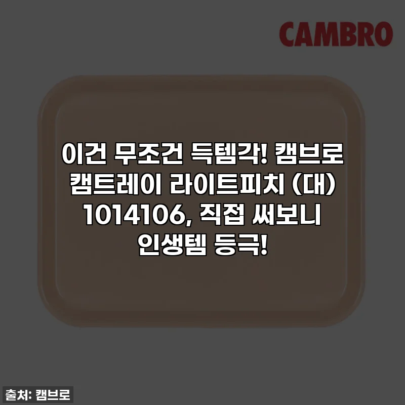 이건 무조건 득템각! 캠브로 캠트레이 라이트피치 (대) 1014106, 직접 써보니 인생템 등극!