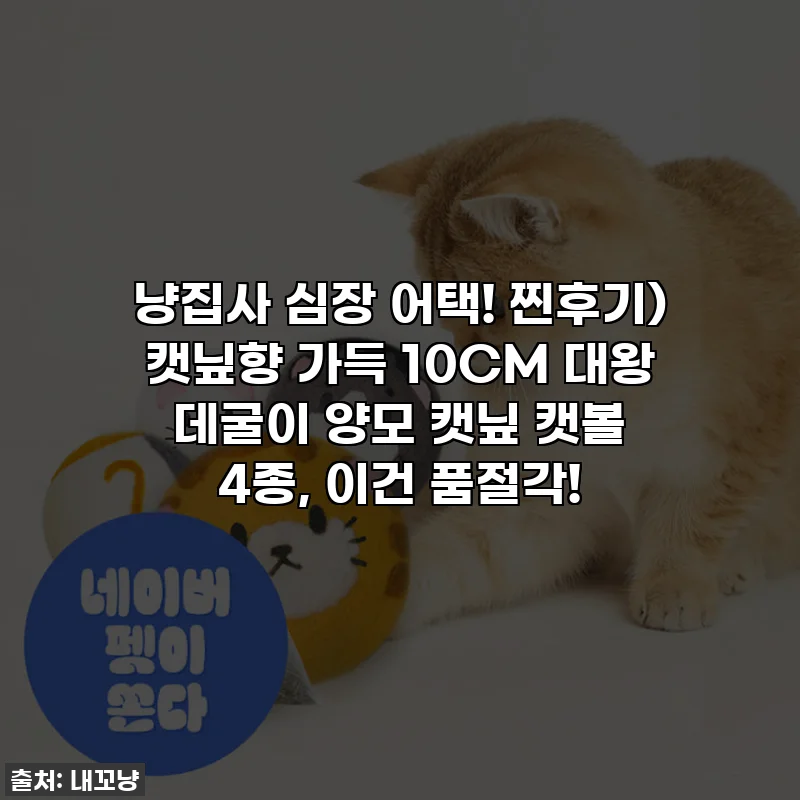 냥집사 심장 어택! 찐후기) 캣닢향 가득 10CM 대왕 데굴이 양모 캣닢 캣볼 4종, 이건 품절각!