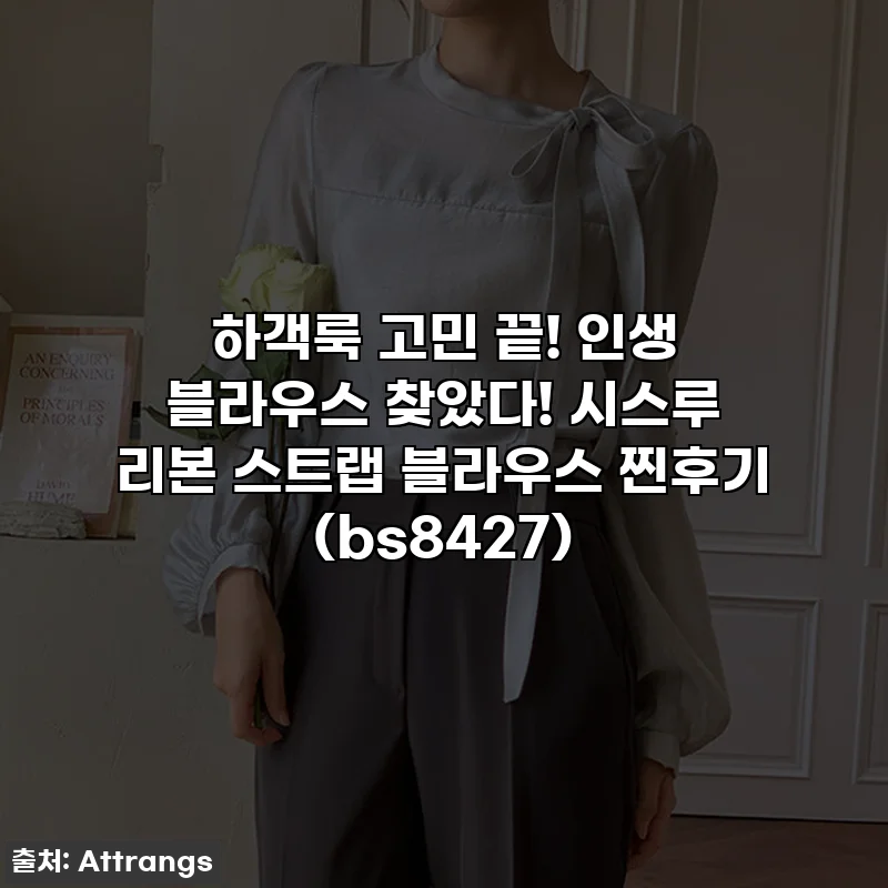 하객룩 고민 끝! 인생 블라우스 찾았다! 시스루 리본 스트랩 블라우스 찐후기 (bs8427)