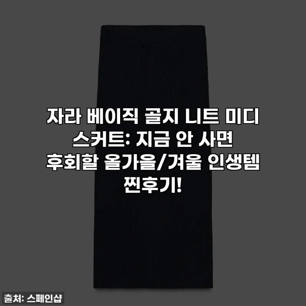 자라 베이직 골지 니트 미디 스커트: 지금 안 사면 후회할 올가을/겨울 인생템 찐후기!