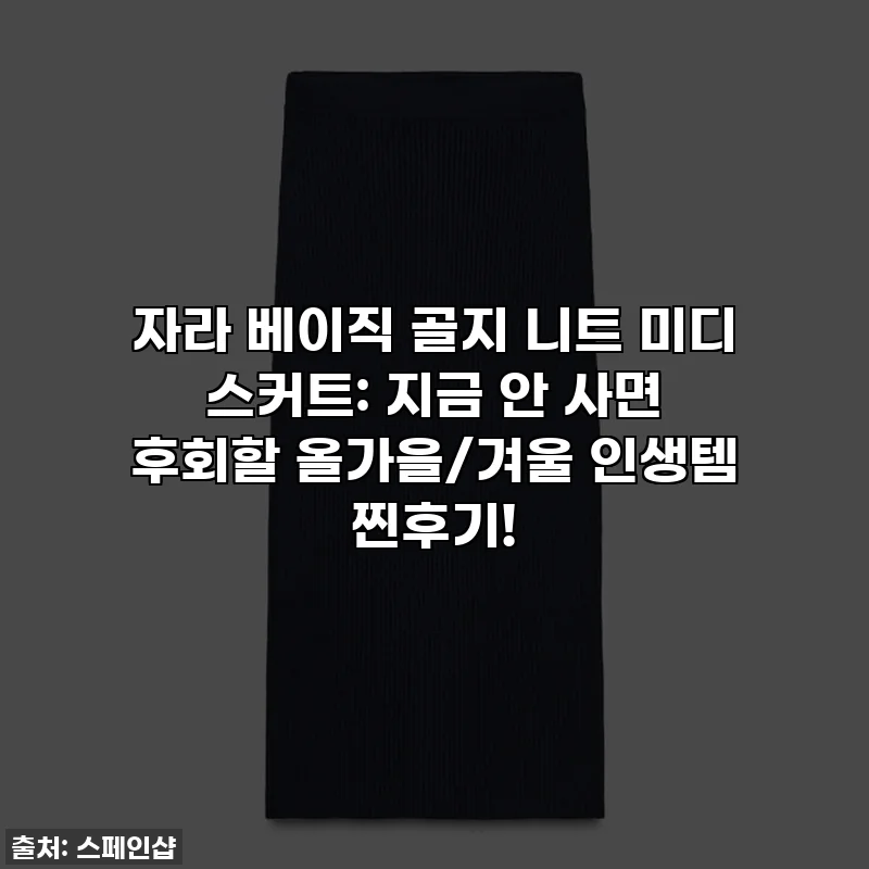 자라 베이직 골지 니트 미디 스커트: 지금 안 사면 후회할 올가을/겨울 인생템 찐후기!
