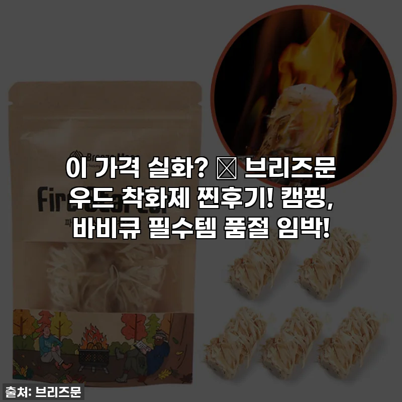 이 가격 실화? 🔥 브리즈문 우드 착화제 찐후기! 캠핑, 바비큐 필수템 품절 임박!