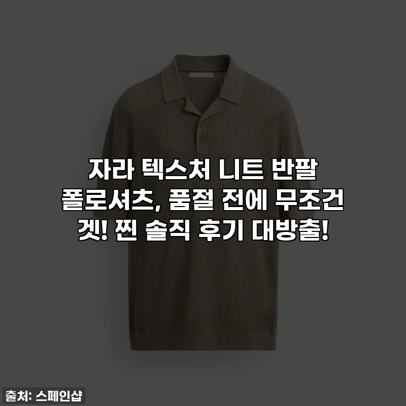 자라 텍스처 니트 반팔 폴로셔츠, 품절 전에 무조건 겟! 찐 솔직 후기 대방출!
