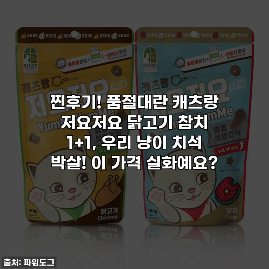 찐후기! 품절대란 캐츠랑 저요저요 닭고기 참치 1+1, 우리 냥이 치석 박살! 이 가격 실화예요?