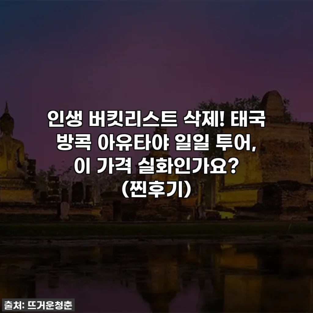 인생 버킷리스트 삭제! 태국 방콕 아유타야 일일 투어, 이 가격 실화인가요? (찐후기)