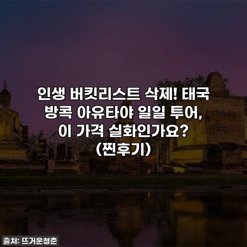 인생 버킷리스트 삭제! 태국 방콕 아유타야 일일 투어, 이 가격 실화인가요? (찐후기)