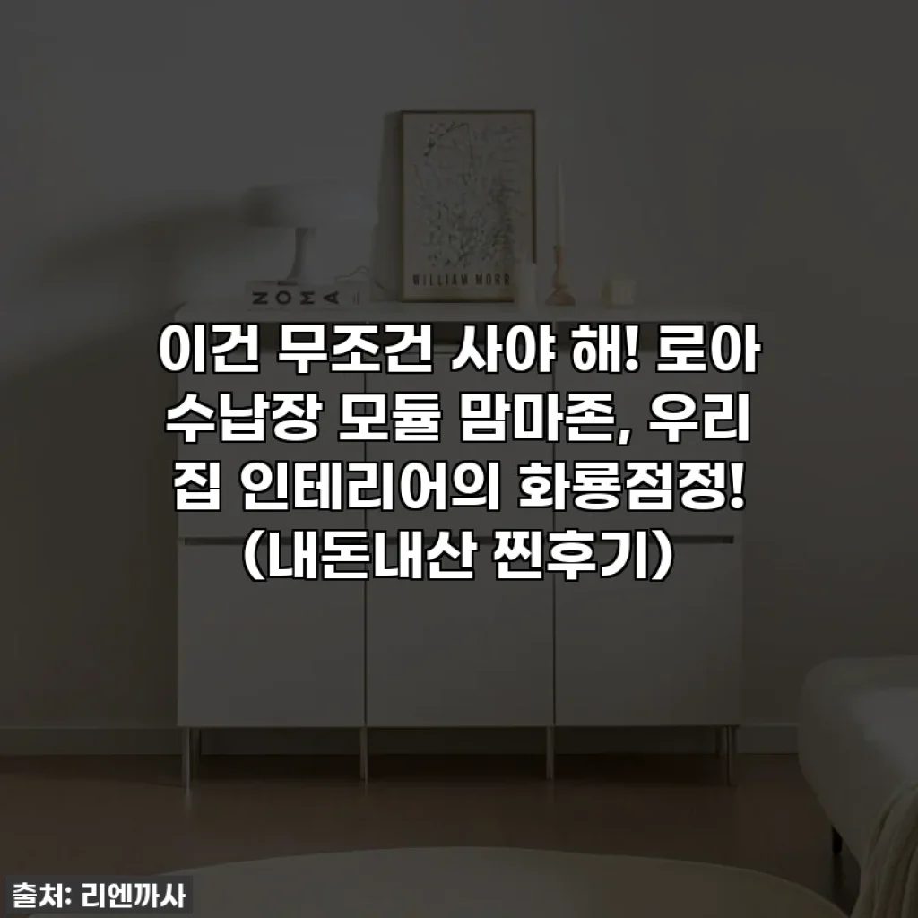 이건 무조건 사야 해! 로아 수납장 모듈 맘마존, 우리 집 인테리어의 화룡점정! (내돈내산 찐후기)