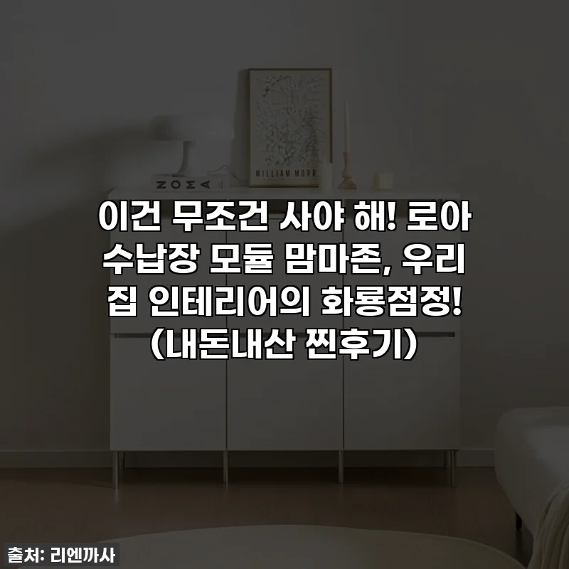이건 무조건 사야 해! 로아 수납장 모듈 맘마존, 우리 집 인테리어의 화룡점정! (내돈내산 찐후기)