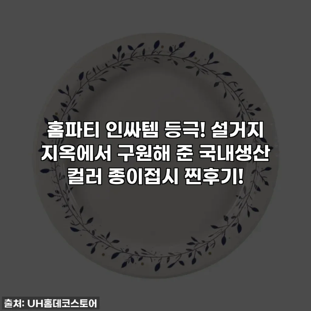 홈파티 인싸템 등극! 설거지 지옥에서 구원해 준 국내생산 컬러 종이접시 찐후기!