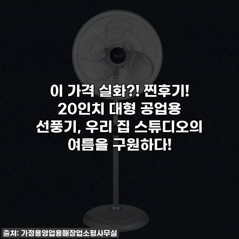 이 가격 실화?! 찐후기! 20인치 대형 공업용 선풍기, 우리 집 스튜디오의 여름을 구원하다!