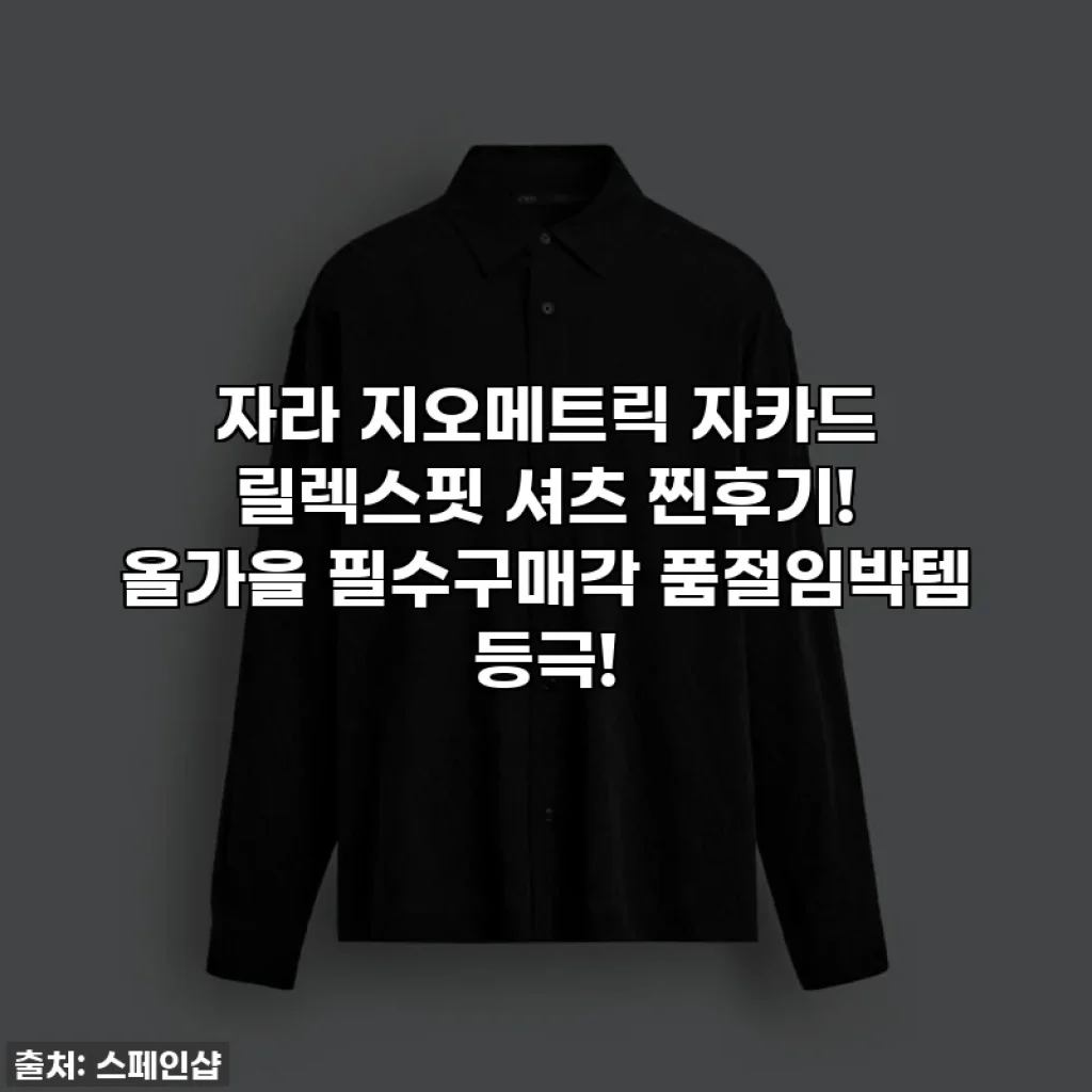 자라 지오메트릭 자카드 릴렉스핏 셔츠 찐후기! 올가을 필수구매각 품절임박템 등극!