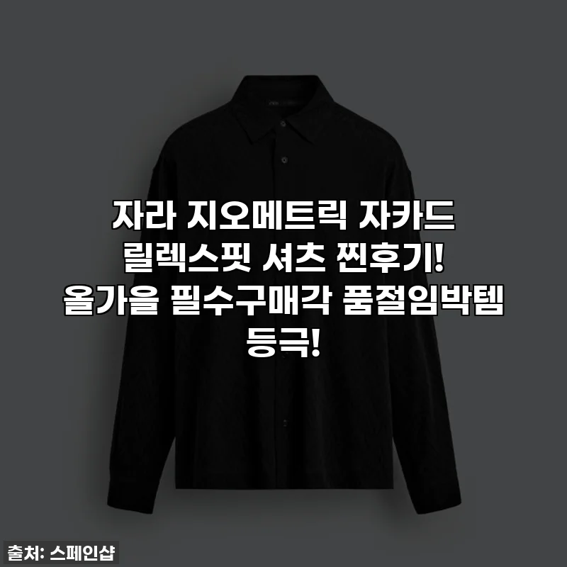자라 지오메트릭 자카드 릴렉스핏 셔츠 찐후기! 올가을 필수구매각 품절임박템 등극!