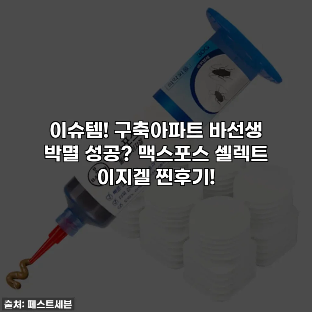 이슈템! 구축아파트 바선생 박멸 성공? 맥스포스 셀렉트 이지겔 찐후기!
