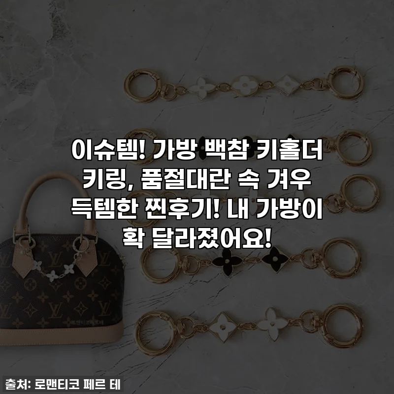 이슈템! 가방 백참 키홀더 키링, 품절대란 속 겨우 득템한 찐후기! 내 가방이 확 달라졌어요!