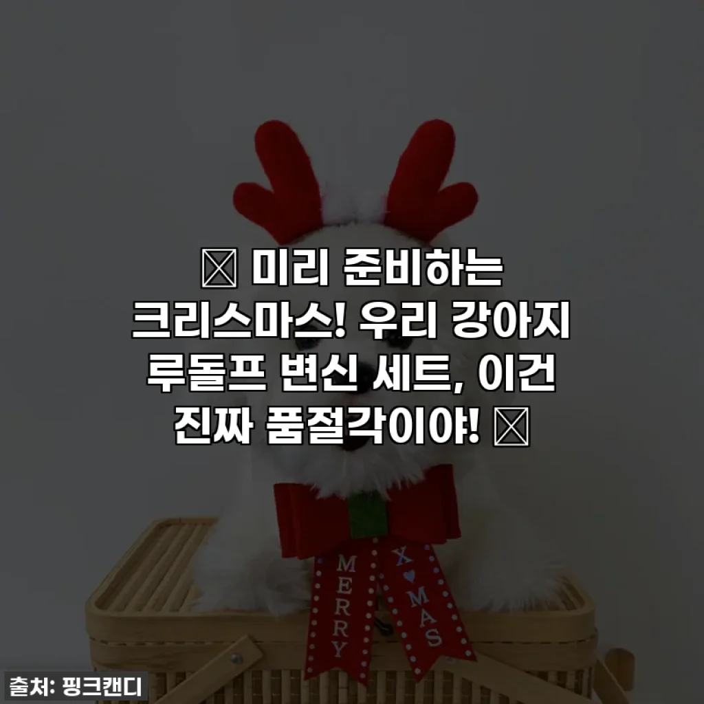 🎄 미리 준비하는 크리스마스! 우리 강아지 루돌프 변신 세트, 이건 진짜 품절각이야! 🎄