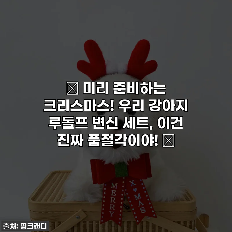 🎄 미리 준비하는 크리스마스! 우리 강아지 루돌프 변신 세트, 이건 진짜 품절각이야! 🎄