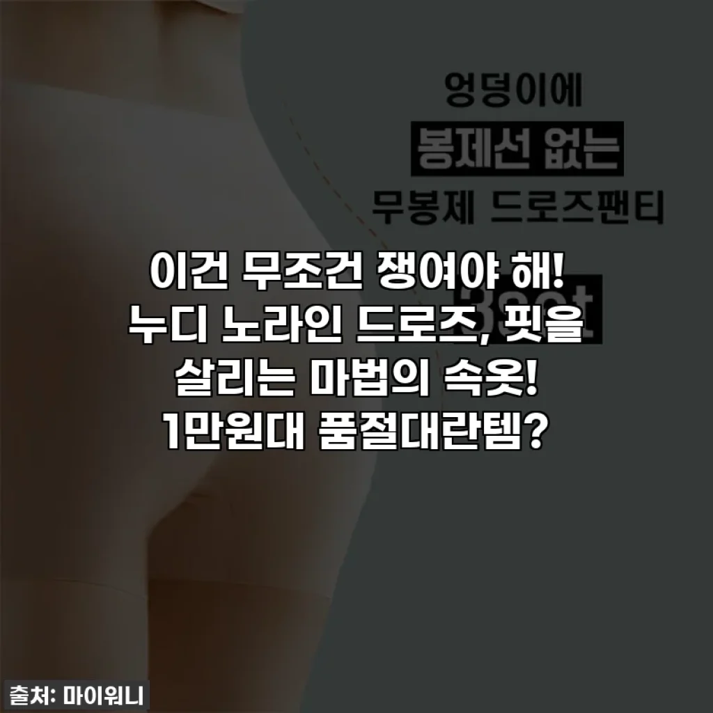 이건 무조건 쟁여야 해! 누디 노라인 드로즈, 핏을 살리는 마법의 속옷! 1만원대 품절대란템?