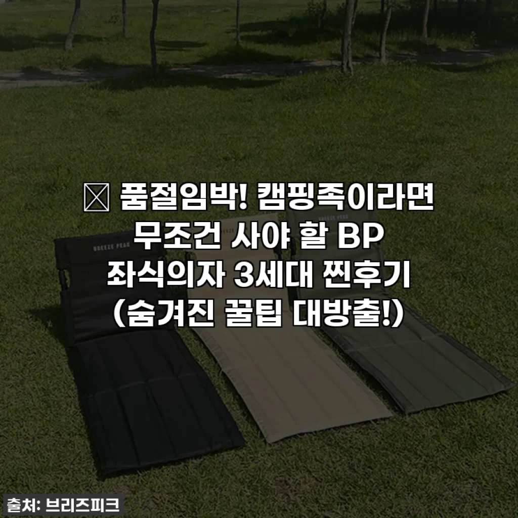 🔥 품절임박! 캠핑족이라면 무조건 사야 할 BP 좌식의자 3세대 찐후기 (숨겨진 꿀팁 대방출!)