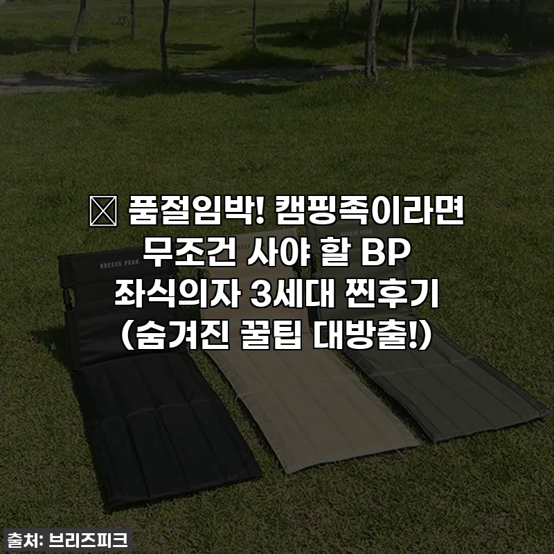🔥 품절임박! 캠핑족이라면 무조건 사야 할 BP 좌식의자 3세대 찐후기 (숨겨진 꿀팁 대방출!)