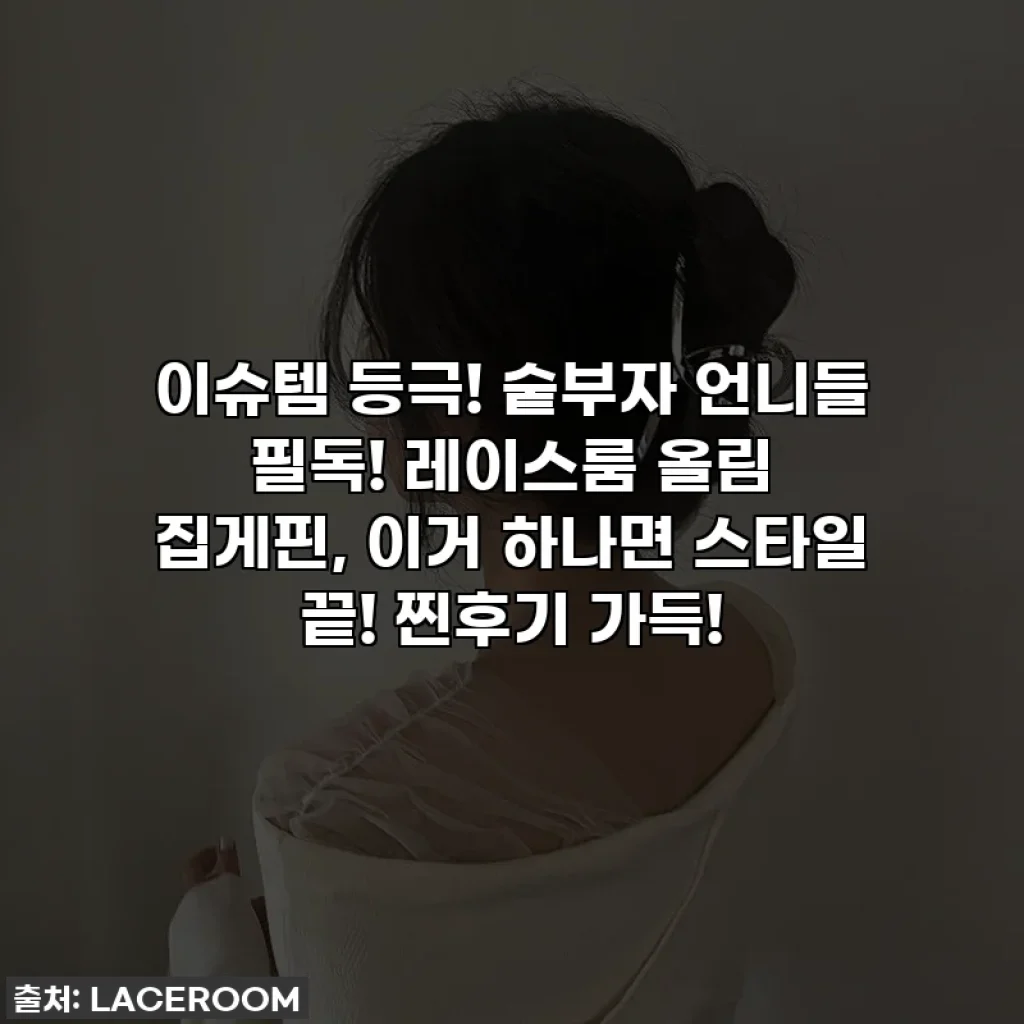 이슈템 등극! 숱부자 언니들 필독! 레이스룸 올림 집게핀, 이거 하나면 스타일 끝! 찐후기 가득!