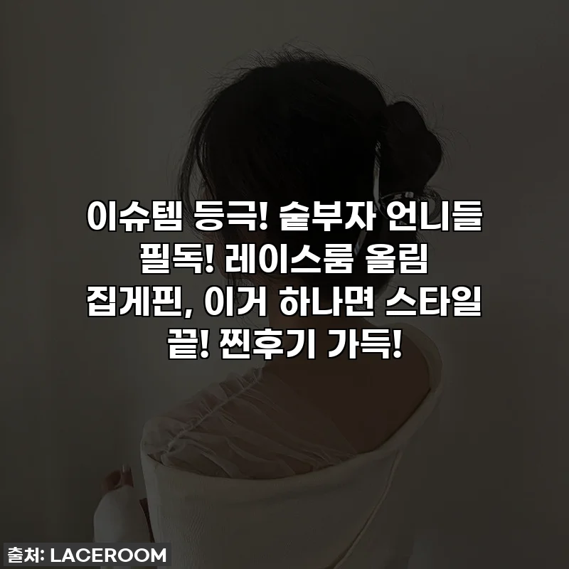이슈템 등극! 숱부자 언니들 필독! 레이스룸 올림 집게핀, 이거 하나면 스타일 끝! 찐후기 가득!