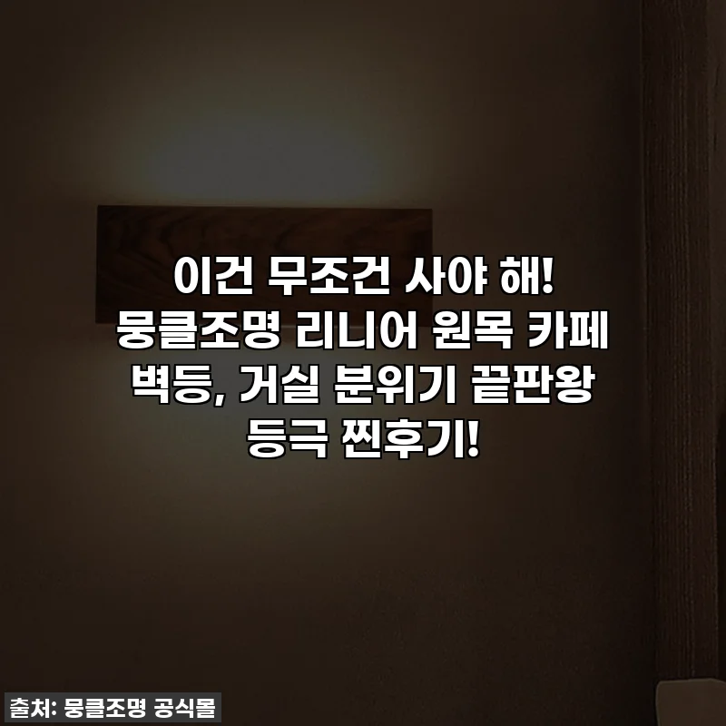 이건 무조건 사야 해! 뭉클조명 리니어 원목 카페 벽등, 거실 분위기 끝판왕 등극 찐후기!