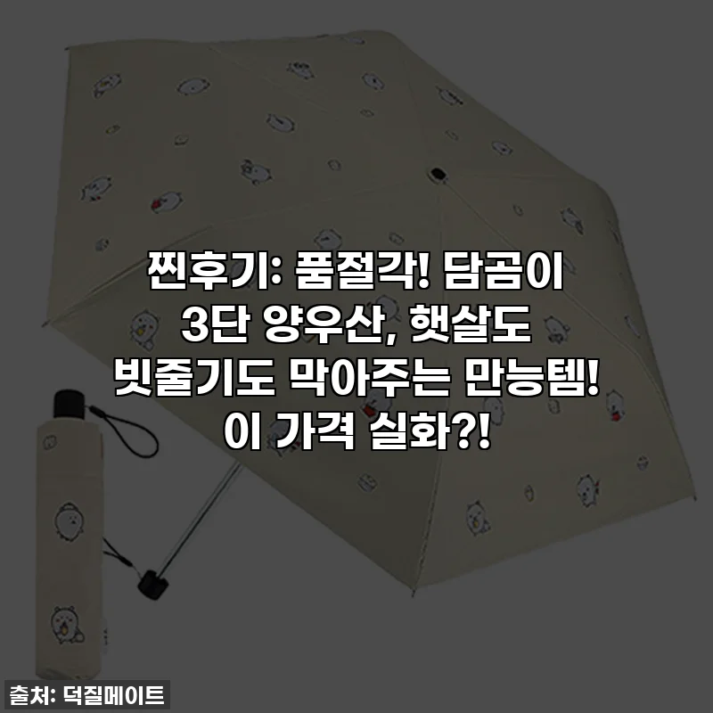 찐후기: 품절각! 담곰이 3단 양우산, 햇살도 빗줄기도 막아주는 만능템! 이 가격 실화?!