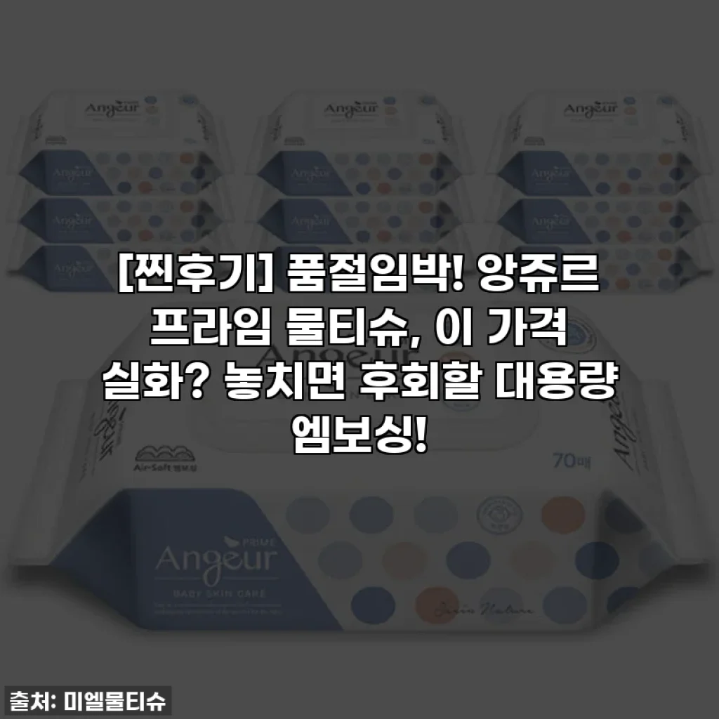 [찐후기] 품절임박! 앙쥬르 프라임 물티슈, 이 가격 실화? 놓치면 후회할 대용량 엠보싱!